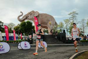 BIB: 
                            <button type="button" onclick="openModal(26529219)" class="btn btn-primary btn-sm float-right btn-popup" data-toggle="modal" data-target=".modal-high-quality">
                        <i class="fas fa-shopping-cart"></i> Add to Cart
                    </button>
                                            <button type="button" onclick="isThisMe(26529219, true)" class="btn btn-success btn-sm float-right btn-popup btn-isme hidden" data-toggle="tooltip" data-placement="bottom" title="นี่คือรูปของคุณใช่ไหม คลิกที่นี่เพื่อเอาเข้าอัลบั้ม">
                        <i class="fas fa-plus"></i> Add to album
                    </button>
                    <button type="button" onclick="isThisMe(26529219, false)" class="btn btn-warning btn-sm float-right btn-popup btn-isnotme hidden">
                        <i class="fas fa-ban"></i> Remove from album
                    </button>